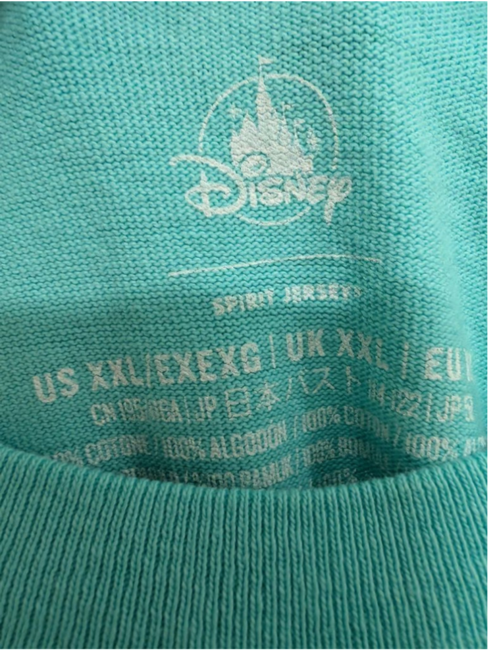 New Disneyland Spirit Jersey Aqua Long Sleeve Shirt Oversized XXL Mickey Minnie - Picture 6 of 7